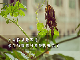 供给曲线向右上方倾斜，表示当一种商品价格上升(或下降)时，它的供给量