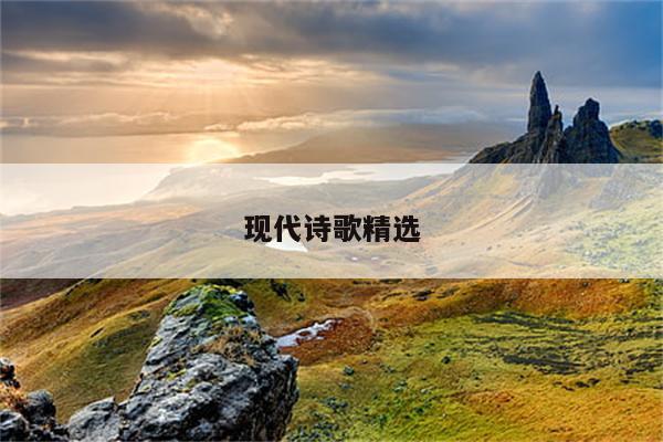 被宣布为废标的投标书包括