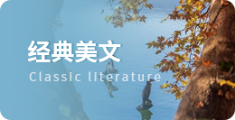 我国物流企业中广泛应用的是(    )。