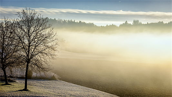 证券市场的监管机构是（&nbsp; &nbsp;）